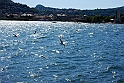 Lago di Como_044